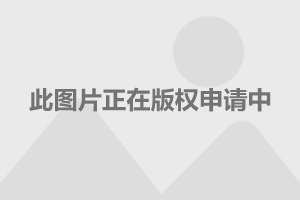 中國(guó)武器大全網(wǎng)站SEO文章，中國(guó)武器大全網(wǎng)站SEO優(yōu)化詳解