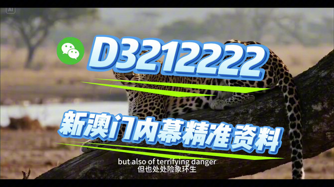 揭秘未來，探索2025開特馬最準確一肖預測之道，揭秘未來，探索精準預測2025開特馬生肖之道