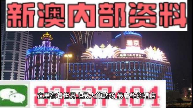 新澳持碼會(huì)資料詳解，新澳持碼會(huì)資料全面解析