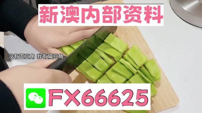 新澳精準資料免費提供，探索與解析，新澳精準資料解析與探索，免費提供的深度解讀