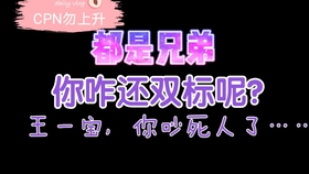一肖二肖是什么意思——深度解析中國民俗中的生肖文化，深度解析中國民俗中的生肖文化，一肖二肖的含義與故事