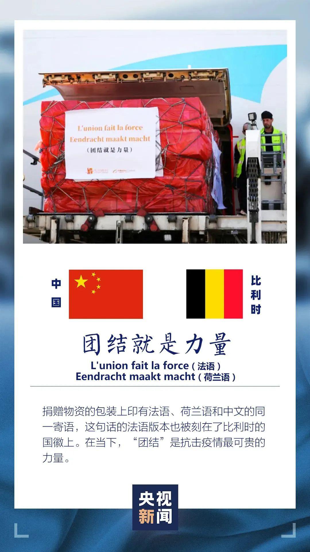 王中王資米斗一肖中持，深度解析與SEO優(yōu)化策略，王中王資米斗一肖中持深度解析與SEO優(yōu)化策略探討
