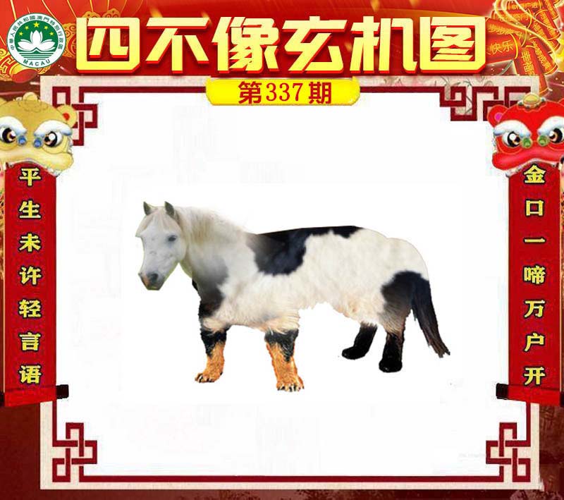 王中王一肖必中四不像，揭秘彩票背后的秘密與策略，揭秘彩票背后的秘密與策略，王中王一肖四不像彩票解析