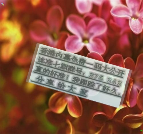 揭秘兩肖必中一肖王中王的秘密策略，揭秘兩肖必中一肖王中王的秘密策略，揭秘生肖彩票的必勝法則！