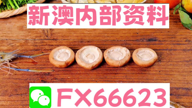 新澳正版資料免費(fèi)提供，全面解析與深度探索，新澳正版資料全面解析與深度探索，免費(fèi)提供的指南