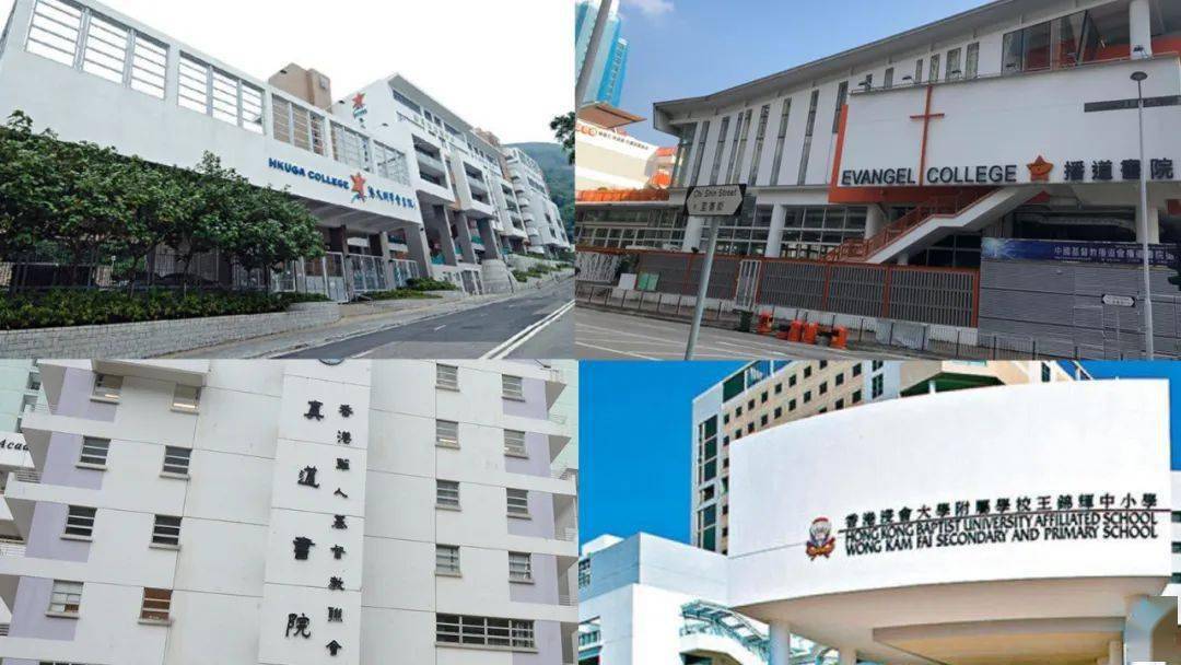 香港免費公開資料大全——探索無盡的資源寶庫，香港免費公開資料大全，資源寶庫深度探索