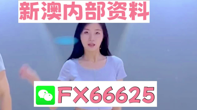 新澳門(mén)精準(zhǔn)資料大全——管家婆料解析與探索，澳門(mén)精準(zhǔn)資料大全，管家婆料解析與深度探索
