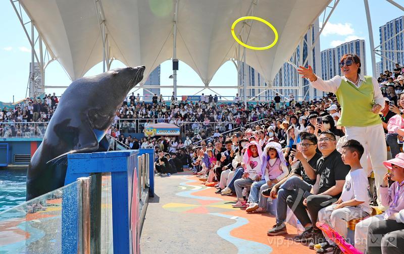 新澳2025今晚開獎結(jié)果揭曉，期待與驚喜交織的時(shí)刻，新澳2025今晚開獎結(jié)果揭曉，期待與驚喜的時(shí)刻來臨