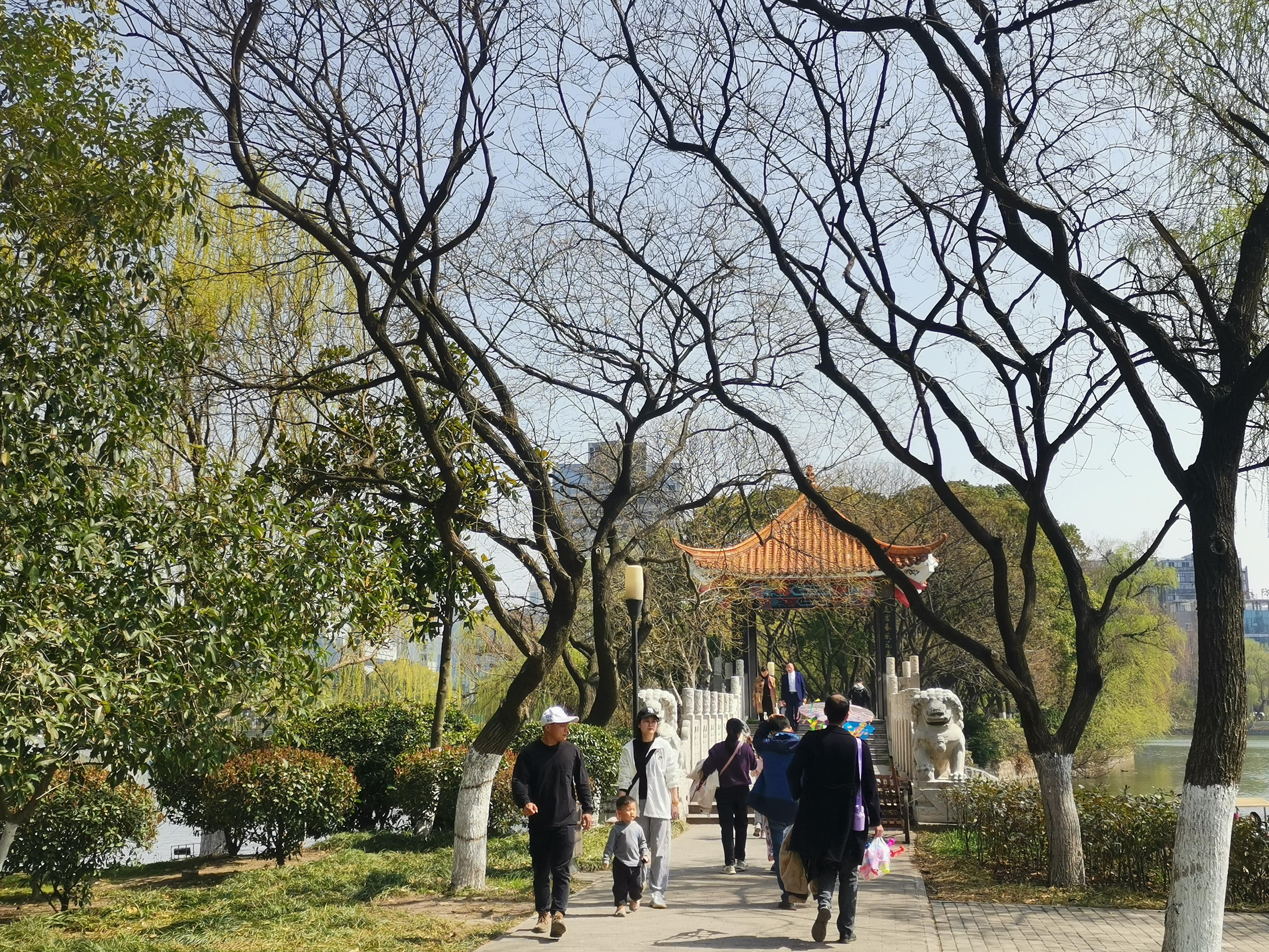 澳門(mén)75期最快天天開(kāi)獎(jiǎng)，揭秘彩票背后的秘密與策略，澳門(mén)75期天天開(kāi)獎(jiǎng)揭秘，彩票背后的秘密與策略探究