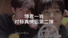 一肖拖一肖二中二有幾組——深度解析與探索，深度解析與探索，一肖拖一肖二中二有多少組組合？