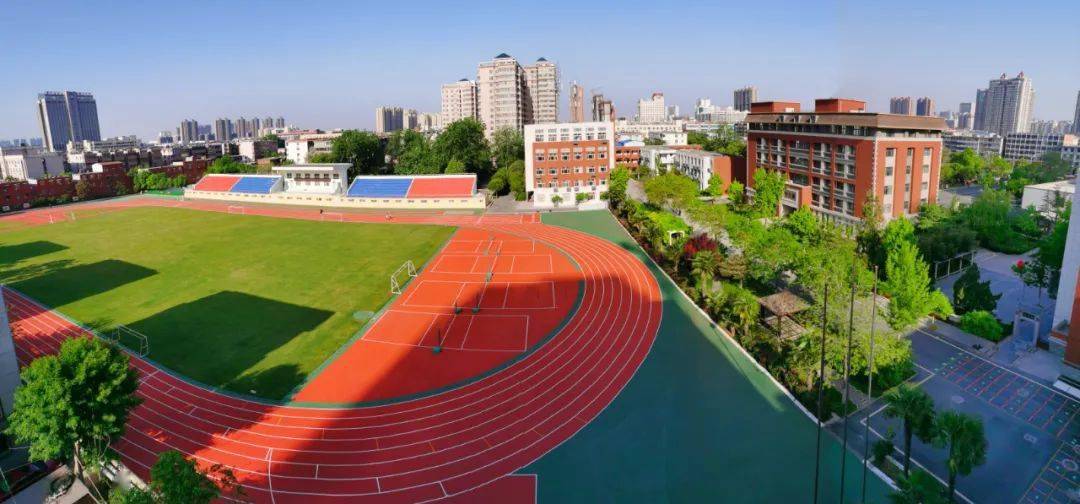 特平一肖王中王大公開，揭秘背后的秘密與策略，揭秘特平一肖王中王大策略與背后秘密