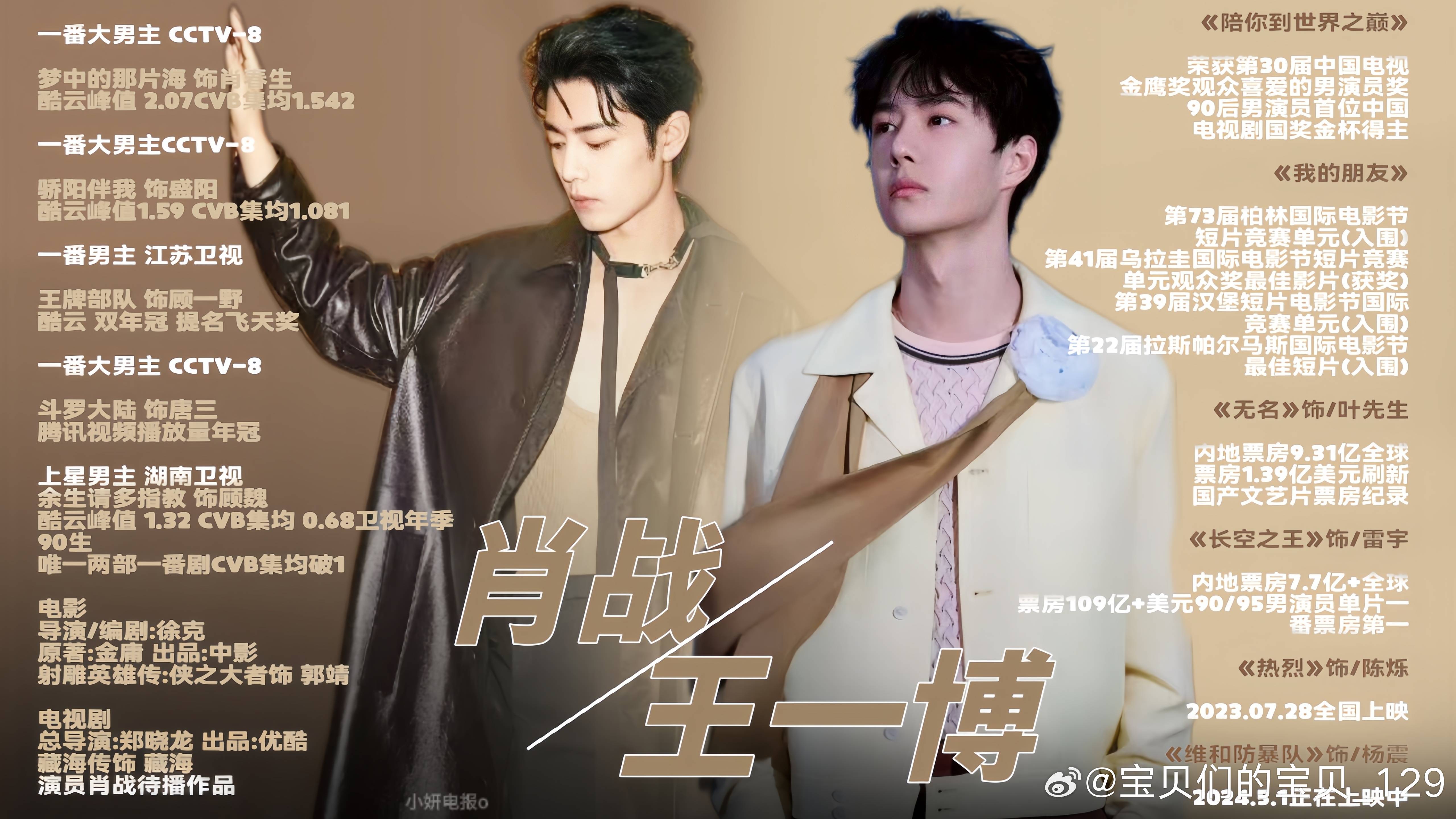 王中王一肖中特資料詳解，王中王一肖中特資料深度解析