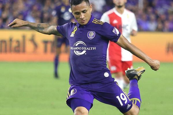 管家婆必中一肖圖正版，揭秘彩票背后的秘密與策略，揭秘彩票背后的秘密與策略，管家婆必中一肖圖正版分析