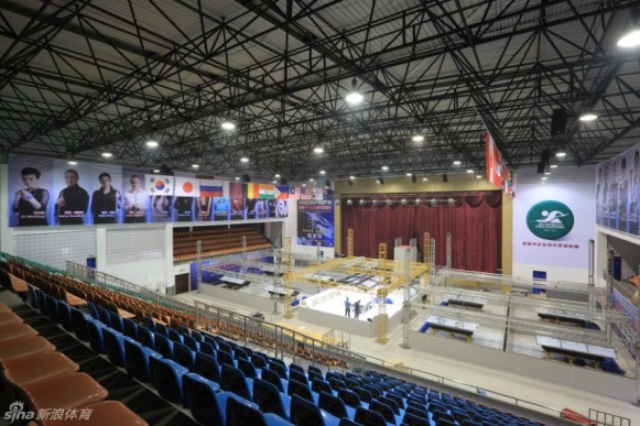 王中王一肖一馬中特平臺，探索與解析，王中王一肖一馬中特平臺深度探索與解析