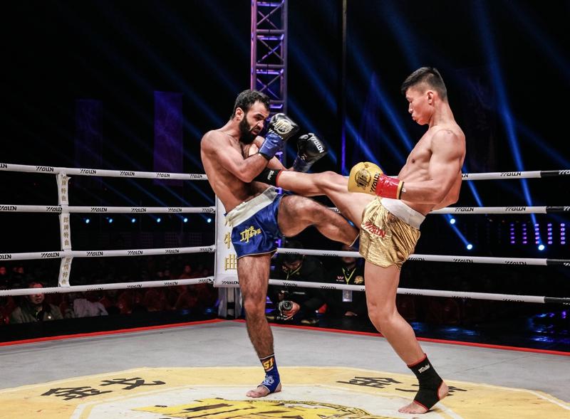 王中王網(wǎng)四肖主一碼，深度解析與SEO優(yōu)化策略，王中王網(wǎng)四肖主一碼，深度解析與SEO優(yōu)化策略全攻略