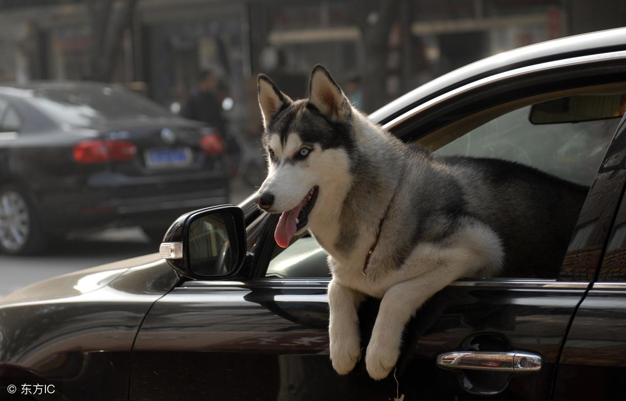 彩票背后的秘密 第14頁