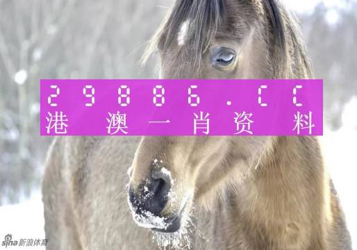澳門一肖一碼100%準(zhǔn)確預(yù)測(cè)——揭秘彩票神秘面紗，澳門彩票預(yù)測(cè)揭秘，一肖一碼百分百準(zhǔn)確預(yù)測(cè)神秘面紗下的幸運(yùn)數(shù)字
