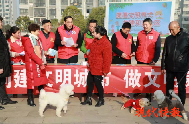 急先鋒澳門六肖，深度解析與探索，澳門六肖急先鋒，深度解析與探索