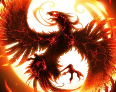 王中王精準(zhǔn)一肖中鳳凰，揭秘預(yù)測(cè)之謎，揭秘王中王精準(zhǔn)預(yù)測(cè)一肖中鳳凰的奧秘