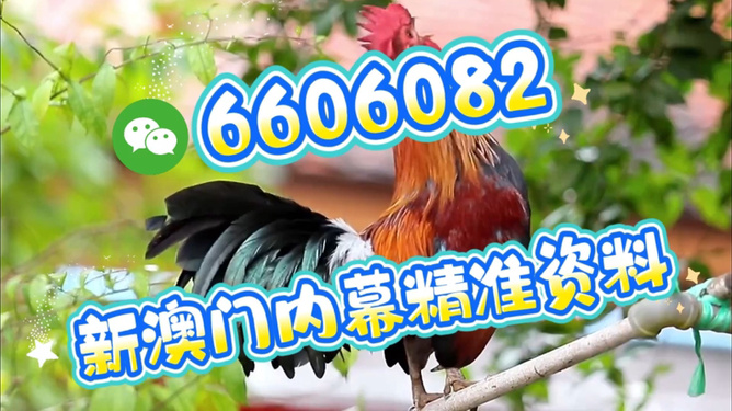 澳門特馬今天開獎結(jié)果，揭秘彩票背后的秘密，澳門特馬今天開獎結(jié)果揭秘，彩票背后的秘密大揭曉