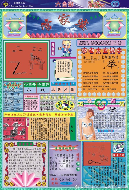 王中王四不像必出一肖圖——揭秘彩票背后的秘密，揭秘彩票背后的秘密，王中王四不像必出一肖圖的真相探索