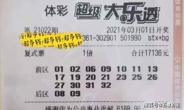 一肖三碼王中王，揭秘背后的秘密與策略，揭秘一肖三碼王中王的秘密與策略