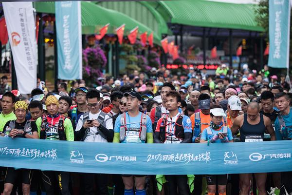 一肖平特王中王，揭秘彩票背后的秘密與策略，揭秘彩票背后的秘密與策略，一肖平特王中王之選