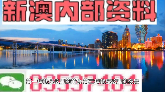 新澳門(mén)最精準(zhǔn)正最精準(zhǔn)龍門(mén)，探索與揭秘，新澳門(mén)最精準(zhǔn)正龍門(mén)探索揭秘攻略