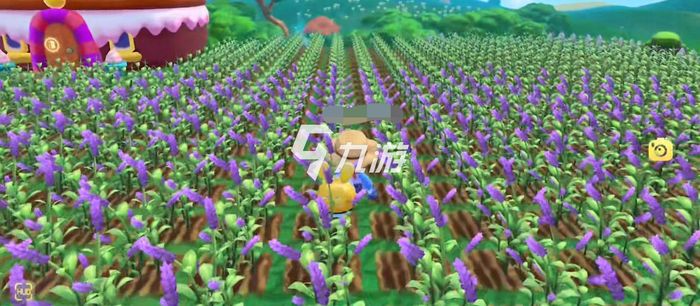 摩爾莊園紫羅蘭種子，種植與優(yōu)化的SEO策略，摩爾莊園紫羅蘭種子種植與SEO策略優(yōu)化指南