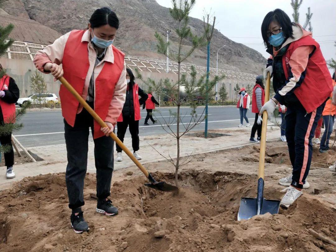 天下彩天天空彩資料免費(fèi)大全管家，探索與解析，天下彩天天空彩資料大全管家，深度探索與解析