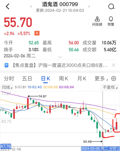 酒鬼酒股吧，深度解析與投資策略探討，酒鬼酒股吧深度解析及投資策略探討