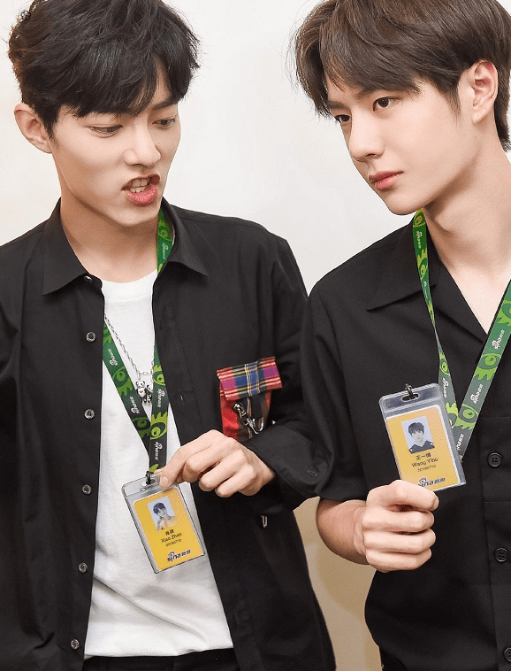 王中王一肖中特料，探尋背后的秘密與獨(dú)特之處，揭秘王中王一肖特料背后的獨(dú)特秘密