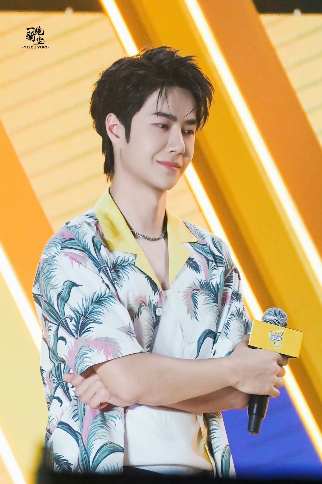 王中王一肖中特家婆，深度解讀背后的故事與奧秘，王中王一肖背后的故事與奧秘深度解讀