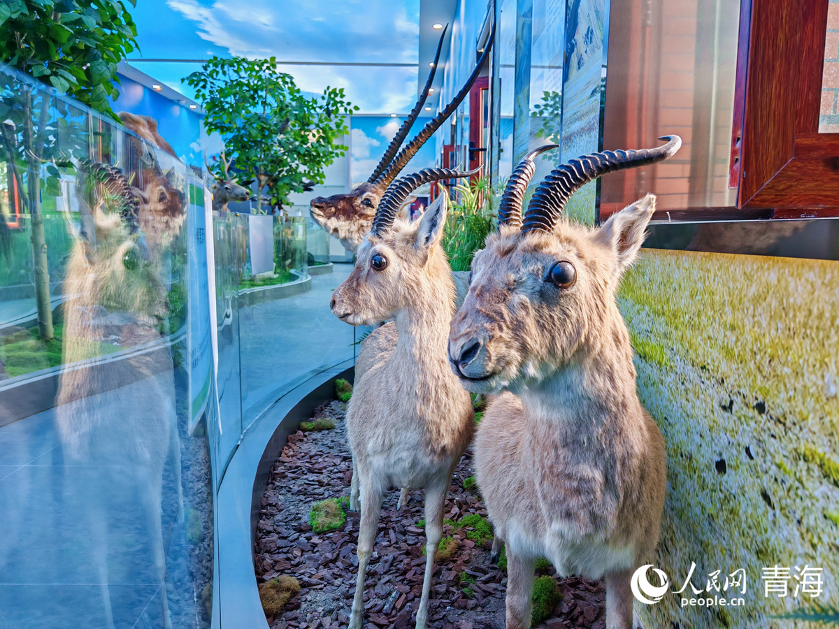 彩票背后的秘密 第7頁