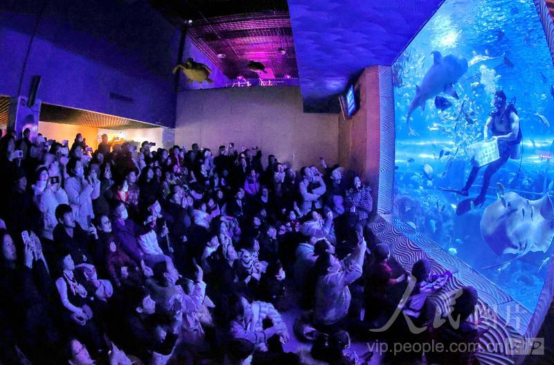 新澳2025今晚開獎結(jié)果，揭秘彩票背后的秘密與期待，揭秘新澳2025彩票開獎背后的秘密與期待，今晚開獎結(jié)果揭曉！