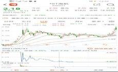 探索股市新星，600221股吧的獨(dú)特魅力與投資機(jī)會(huì)，揭秘股市新星，探索600221股吧的獨(dú)特魅力和投資機(jī)會(huì)
