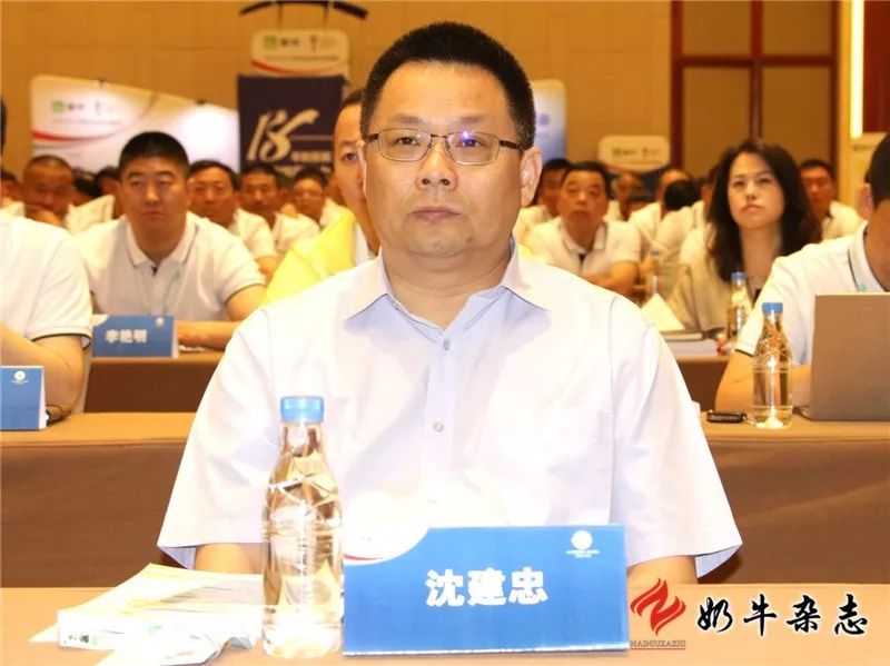 王中王一平特肖，揭秘第100期的秘密，揭秘第100期秘密，王中王一平特肖獨家爆料