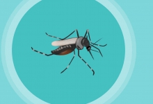 聞喜天氣預(yù)報——掌握天氣動態(tài)，安排生活出行，聞喜天氣預(yù)報，精準(zhǔn)掌握天氣動態(tài)，合理安排生活出行計劃