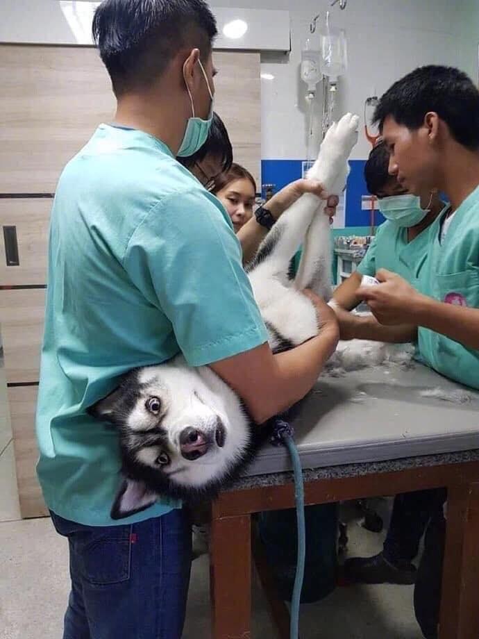 為什么不建議女性進行結扎手術？全面解析風險與利弊，關于女性結扎手術的風險與利弊的全面解析，為何需謹慎選擇？