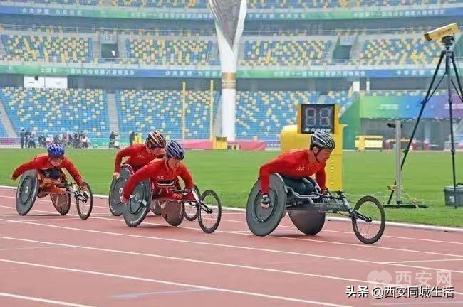 澳門精準預測與免費大全，探索未來的新澳門（2025展望），澳門未來展望，精準預測與免費大全（2025年展望）