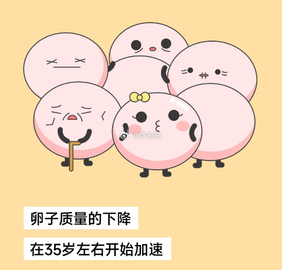 女性卵子質(zhì)量差的表現(xiàn)及其影響，女性卵子質(zhì)量差的表現(xiàn)及其后果