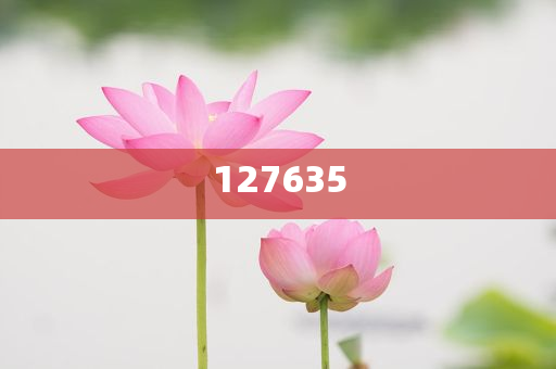 探索全新精準(zhǔn)傳真服務(wù)，7777788888新精準(zhǔn)傳真解析，全新精準(zhǔn)傳真服務(wù)解析，7777788888傳真新體驗(yàn)