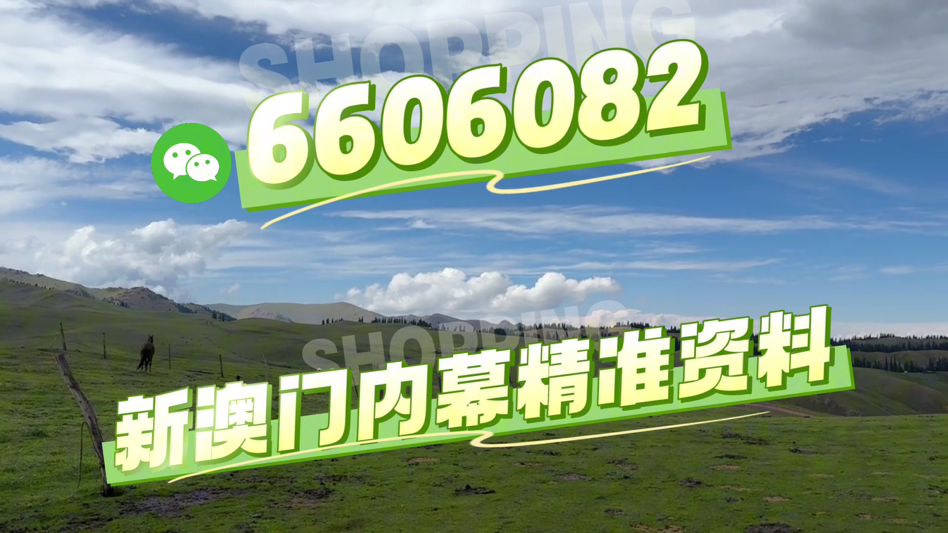 澳門今晚必開一肖一碼，探索生肖彩票的魅力與策略，澳門生肖彩票探索，魅力與策略揭秘