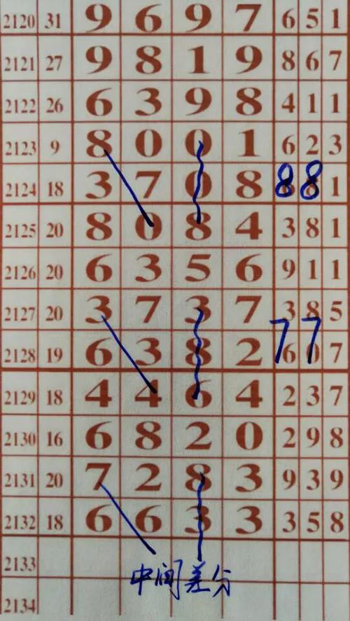 79期王中王三肖一碼，深度解析與SEO優(yōu)化策略，79期王中王三肖一碼深度解析與SEO策略全解析