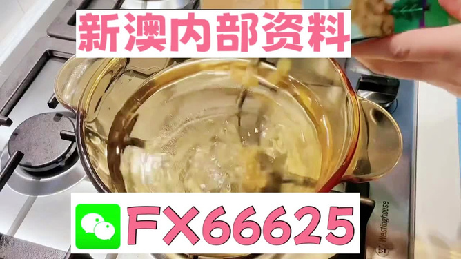 新澳一碼料，深度解析與SEO優(yōu)化策略，新澳一碼料深度解析與SEO優(yōu)化策略指南