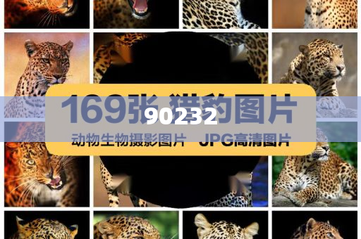 2025新澳天天開好彩大全第78期精彩回顧與前瞻，新澳天天開第78期精彩回顧與前瞻，展望未來的彩票之旅
