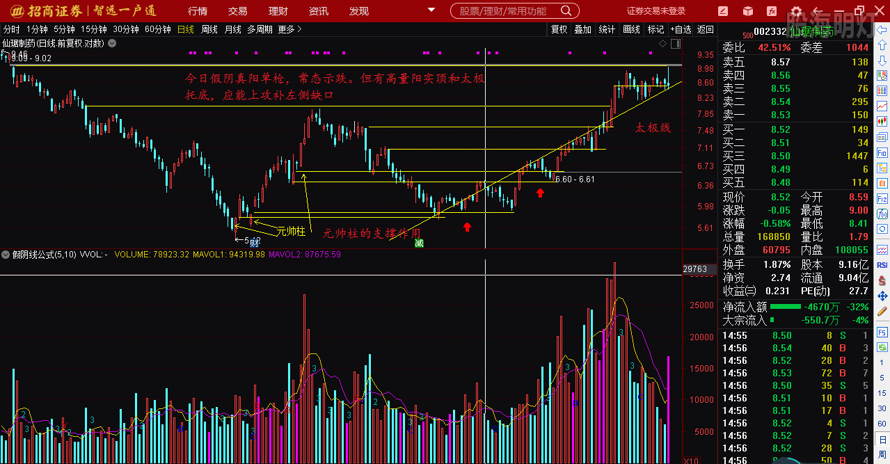 仙琚制藥股票（代碼，002332）深度解析，仙琚制藥股票深度解析（代碼，002332）