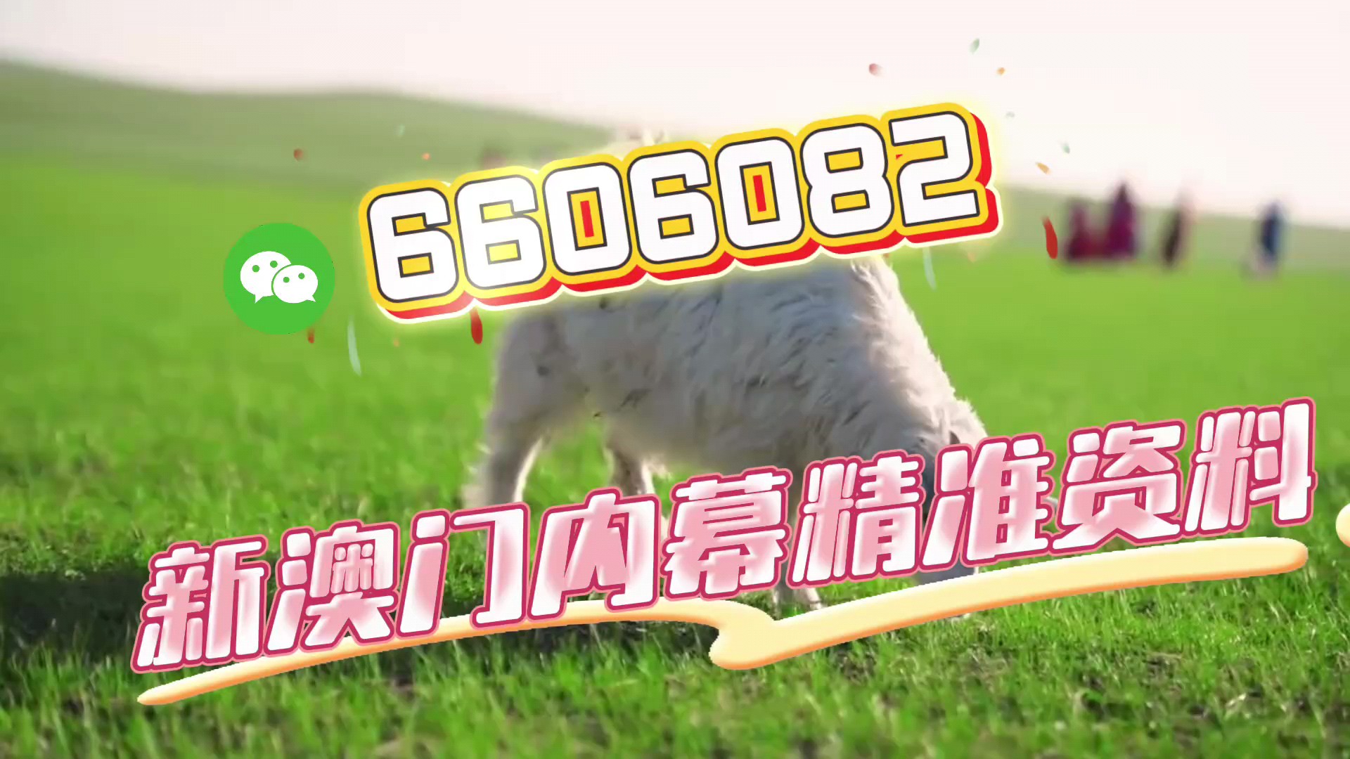 一肖中特免費資料選一，揭秘彩票秘密，帶你走向成功之路，揭秘彩票秘密，一肖中特資料助你走向成功之路