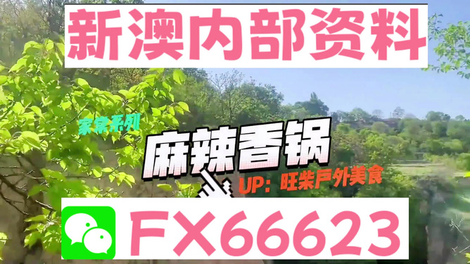 新澳精準(zhǔn)資料免費提供，探索與實踐的指南，新澳精準(zhǔn)資料免費分享，探索與實踐的導(dǎo)航指南