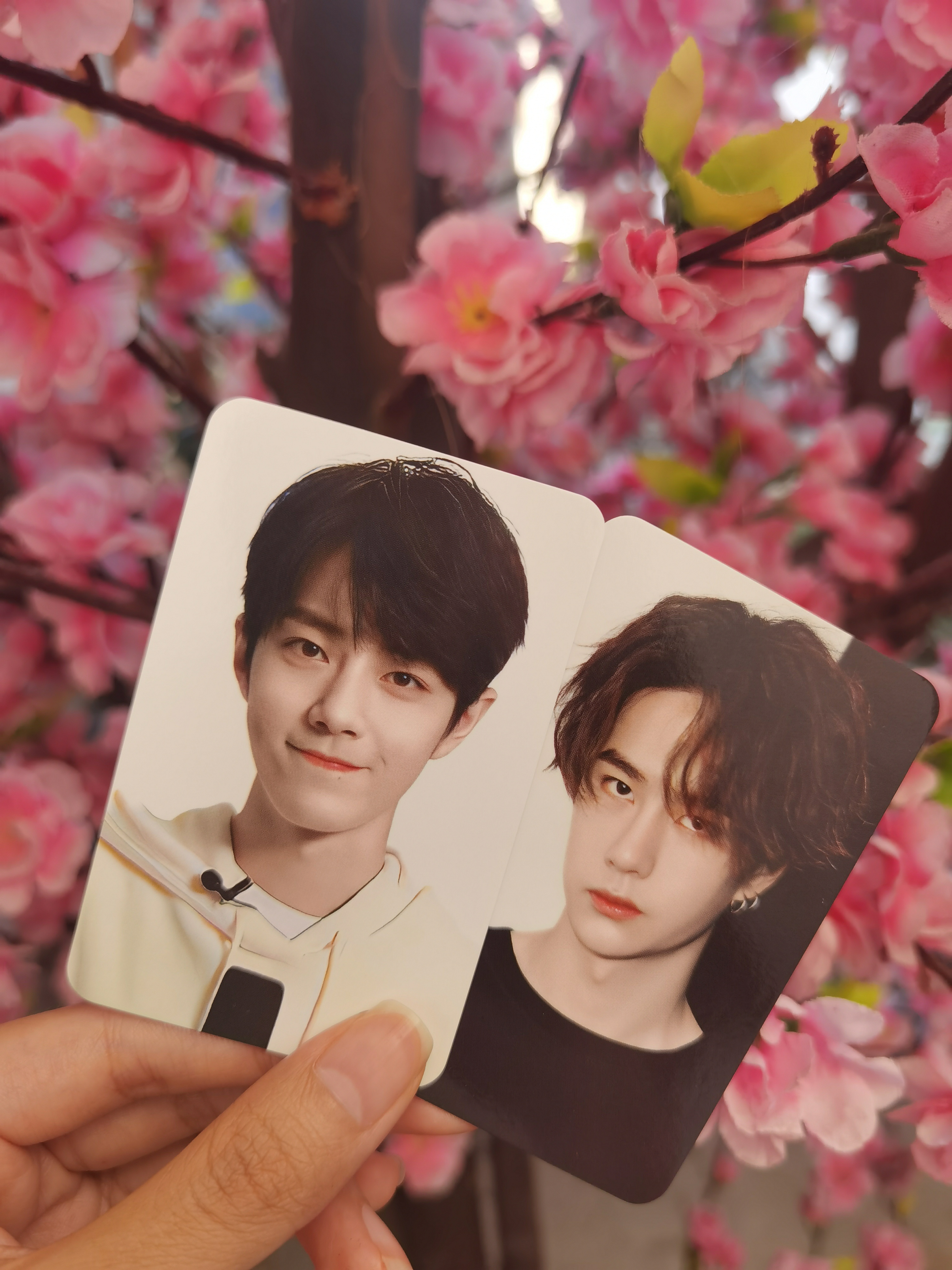 王中王一肖中特一肖精準預測——揭秘生肖運勢的秘密，揭秘生肖運勢，王中王一肖精準預測特選生肖運勢秘密